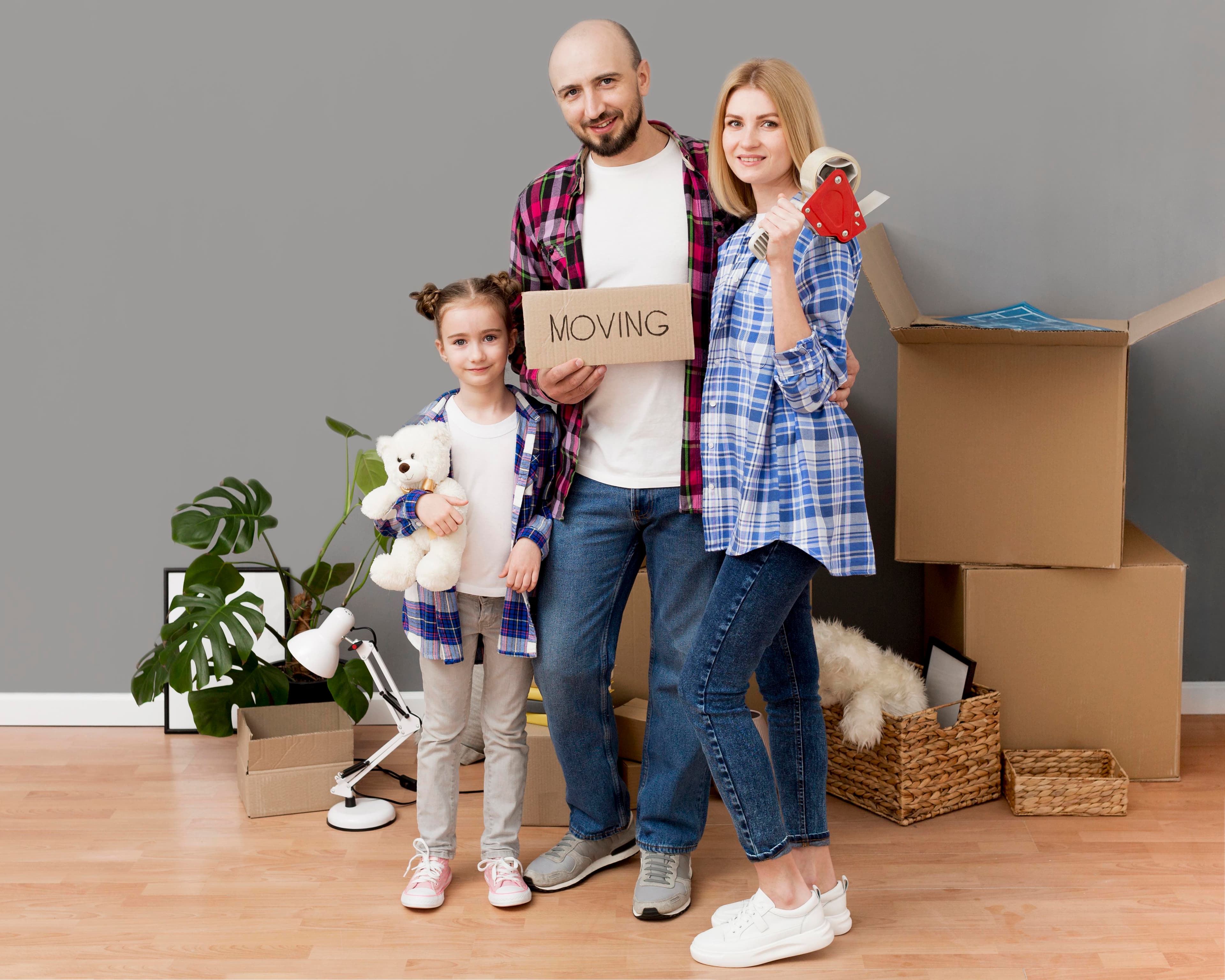 Modern real estate and property showcase